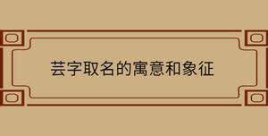 芸意思名字|芸字取名的寓意